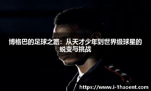 壹号娱乐官网